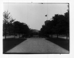 View of bench in a tree-lined path next to a road