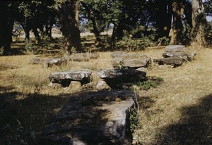 Ancient Munda megalithic monuments in the Ranchi district