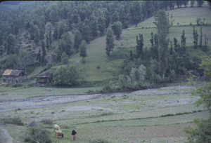 Cultivated fields in Poreče region