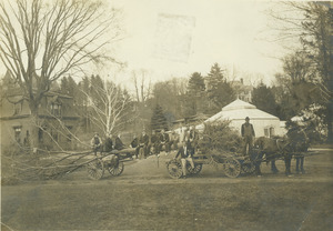 Class of 1909 hauling class tree