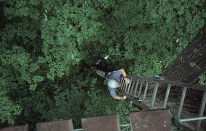 Josh Solomon (Class of 1997) ascends the canopy walkway.