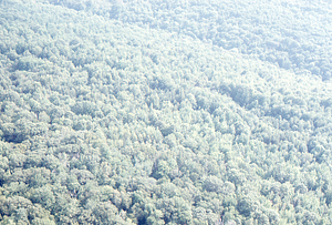Aerial oblique view south across Birch Brook and southeastern Hopkins Forest on 14 July 1971.