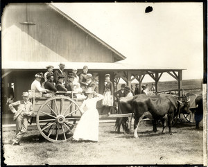 Group of people in a cart, Martha's Vineyard, Mass., ca. 1895