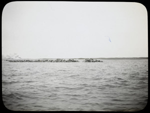 View of a breakwater