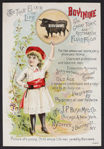 Trade card for Bovinine, the great tonic and restorative fluid food, The J.P. Bush Mfg. Co., Chicago and New York, 1885