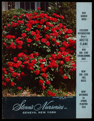 New! Offerings for spring planting 1956, Stern's Nurseries, Inc., Geneva, New York