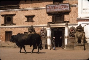 Brahma bull, outside National Art Gallery, Bhaktapur