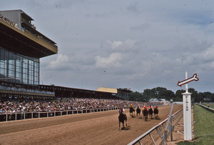Racehorses approaching the finish line