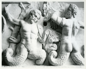 Neptune-like characters