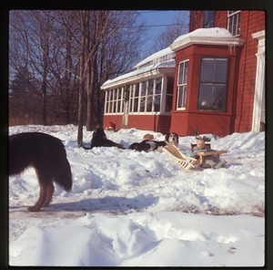 Dogs and baby (Eben) in snow in front of house, Montague Farm Commune