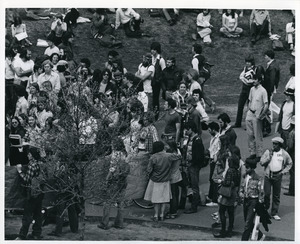 Board of Trustees fee increase demonstration: protestors gathering in front of the Whitmore Administration Building in background