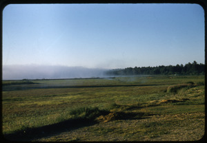 Morning mist over Duxbury Cranberry Company bog and reservoir