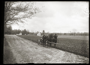 Plowing the fields at Hillside School (Greenwich, Mass.)