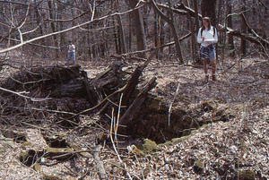 ENVI 102 - Introduction to Environmental Science in Moon Lot - Primmer Farm. 2. House cellar hole.