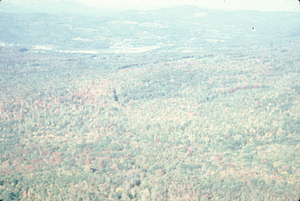 Aerial oblique view looking N along Plot Line 25 on 14 October 1971.
