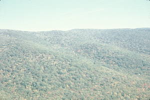 Aerial oblique view Middle Branch (center) and South Branch (distance) of Birch Brook on 14 October 1971.