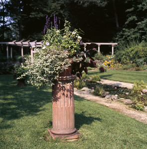 View of potted plant on stand in the gardens, Codman House, Lincoln, Mass.