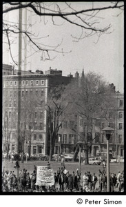 Resistance on the Boston Common: crowd gathered on north edge of the Common