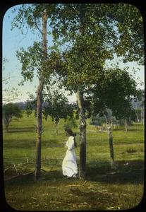 Woman standing by poplars