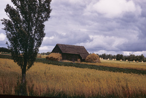 Barn in a field with haystacks
