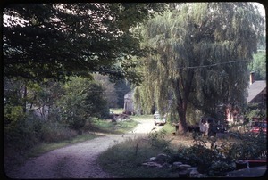 View of road leading to house, Wendell Farm