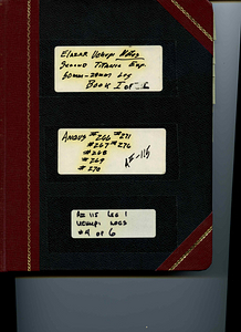 Logbooks: Logs, Elazar Uchupi Notes, Second Titanic Expedition: Angus Lowering, 266-271 and 276, 50 mm log, July 1986