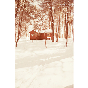 Red building in a snowy forest