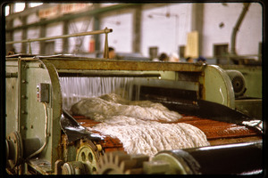 Cotton mill: washing raw cotton