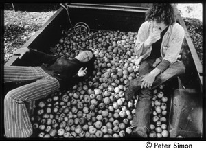 Truck full of apples -- to sell or else to can, Tree Frog Farm commune
