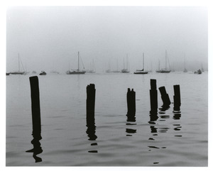 Pilings in foggy harbor