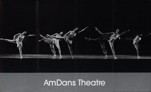 AmDans Theatre brochure