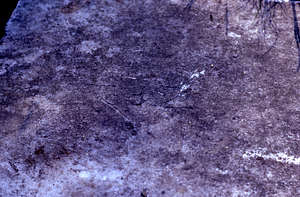 Marble step to Buxton Farms washhouse engraved with "Ted Z."
