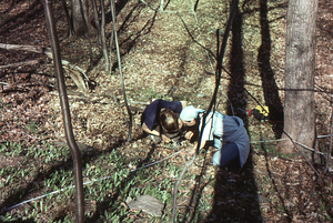 Aya Reiss (Class of 2000 on left) and Emily Simpson (Class of 2000 on right) conducting a survey of the herb layer on the Taconic Crest Trail.