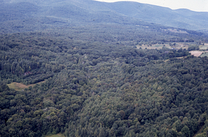 Aerial oblique view of Compartment V genetic plantations to Mason's Farm on right 2 Sept 1971.