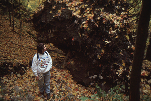 Carol Collier '93 Senior Thesis on Beinecke Stand. 11. Carol Collier standing near root plate of large sugar maple uprooted on the eastern boundary of the Beinecke Stand.