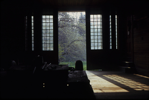 View of 1906 apple orchard from interior of carriage house.