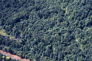 Aerial color image of Northwest Hill Robinson-Towers Tract. False Color Infrared/True Color Project.