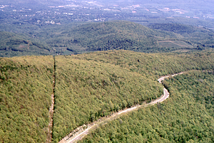 Aerial oblique view Taconic Trail (MA Route 2) and telephone cut on 28 May 1972 in the Hopkins Forest.
