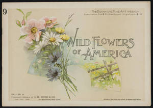 Wild flowers of America : flowers of every state in the American Union. Vol. 1., No. 09