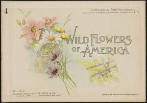 Wild flowers of America : flowers of every state in the American Union. Vol. 1., No. 04