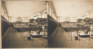 Interior of Appleton Cabinet at Amherst College