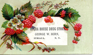 Opera House drug store, George W. Horn