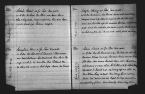 Tewksbury Almshouse Intake Record: Lane, David