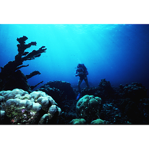 Underwater exam in Jamaica