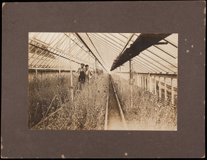 Garrison Hill Greenhouses, Dover, New Hampshire