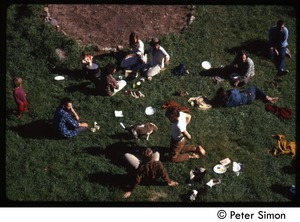 Picnickers on the grass, Tree Frog Farm commune (view from above)