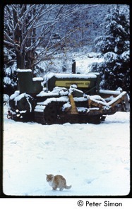 Ginger cat and John Deere tractor in the snow