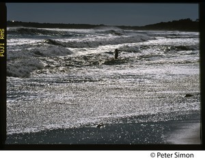 Woman standing in the surf in silhouette, Marthas Vineyard