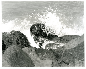 Breaking wave on breakwater