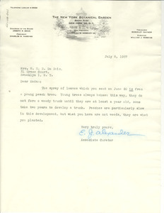 Letter from New York Botanical Garden to Mrs.W. E. B. Du Bois